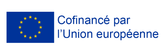 Fonds Social Européen en réponse à la pandémie de COVID 19